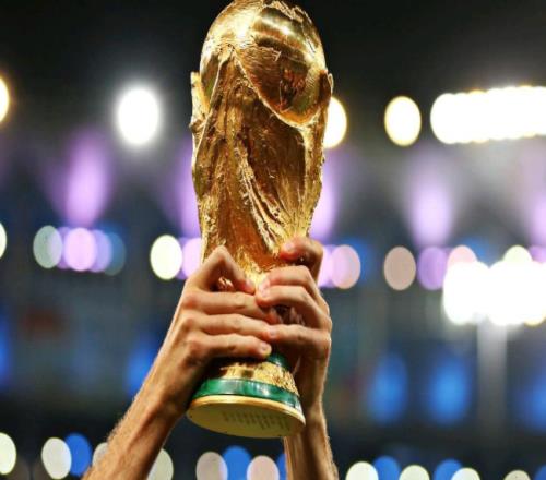 2022 年 FIFA 世界杯的脑震荡协议具体的情况