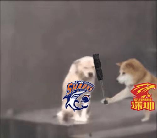 上海半场领先深圳31分