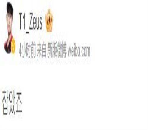 T1.Zeus晒与Gumayusi选手合照：抓住了