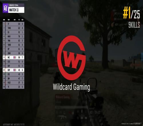 PGC总决赛D3：17尽力局拿下7分 WC技高一筹成功吃鸡