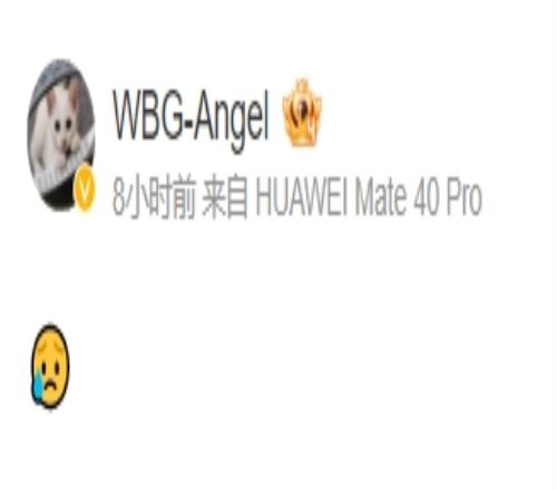 没工作了？WBG中单选手Angel凌晨发博：