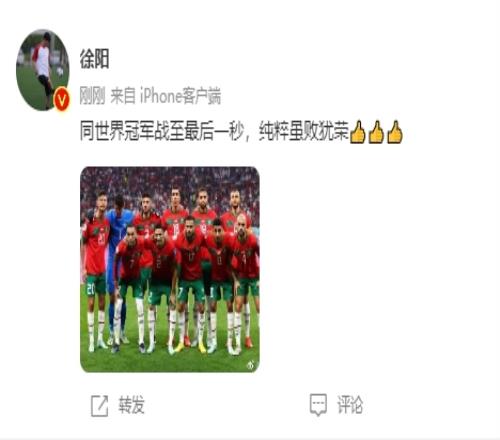 徐阳:同世界冠军战至最后一秒,纯粹虽败犹荣