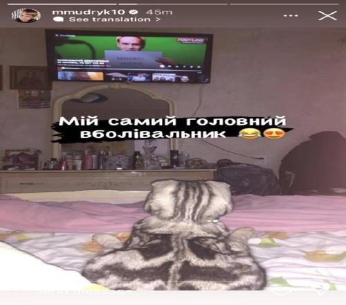 又暗示了！穆德里克ins晒猫，背景电视上是自己穿阿森纳球衣的P图