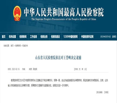 教育部体育卫生与艺术教育司原司长王登峰被正式批捕