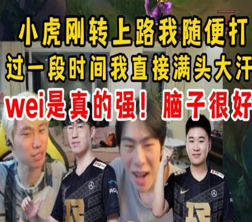 Zdz狂吹小虎和Wei：小虎转上一段时间我直接满头大汗Wei脑子很好