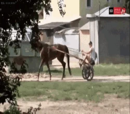 喏就是这个骑大马的胖子统治了总决赛