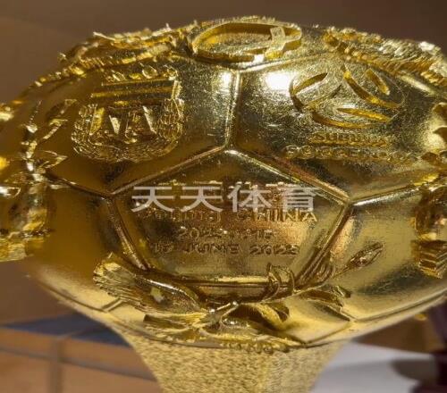 阿澳之战奖杯和用球：奖杯印有两国国家队标志，用球为阿迪TIRO