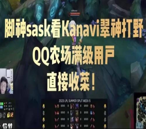 明年登录NBAKanavi翠神篮球技术高超欧洲步戏耍骇客KDA高达28