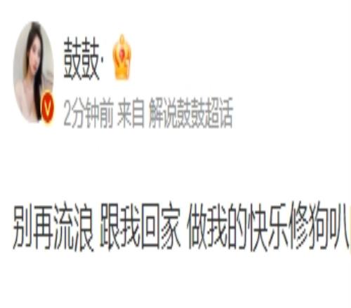 解说鼓鼓小着编织吊带裙怀抱小狗疼爱有加