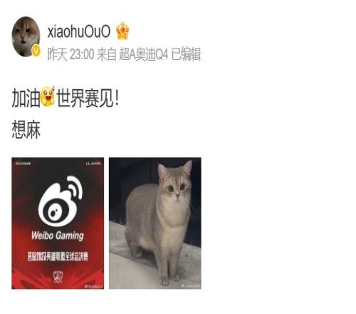 Xiaohu赛后更博：加油！世界赛见！
