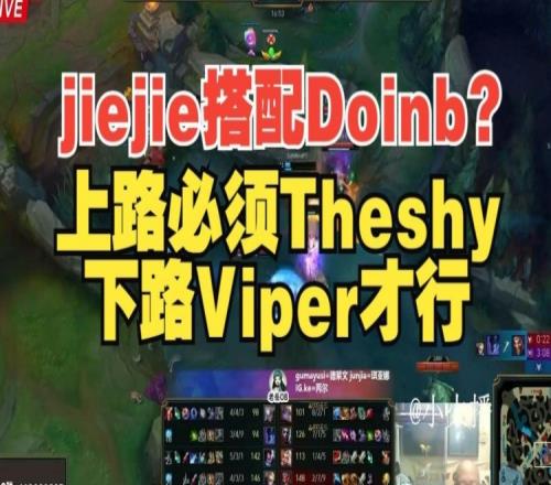 做梦呢老岳：jiejie搭配Doinb那上路必须是Theshy下路Viper！