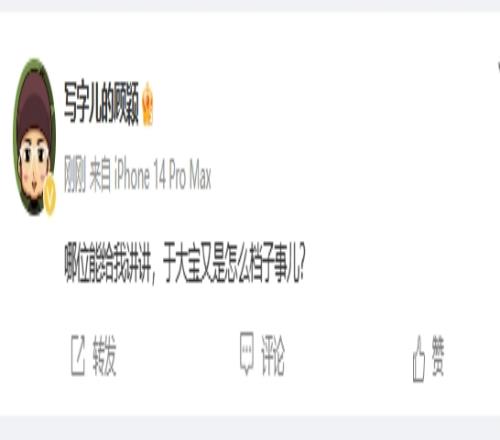 啥情况记者顾颖:哪位能给我讲讲,于大宝又是怎么档子事儿