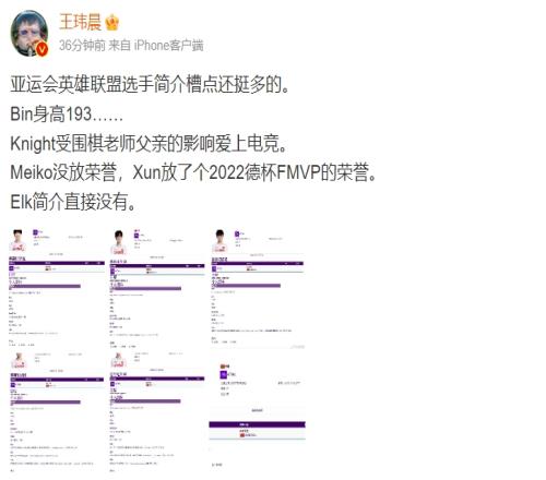 王玮晨吐槽亚运电竞选手介绍：Bin变身193cm巨人Meiko无荣誉