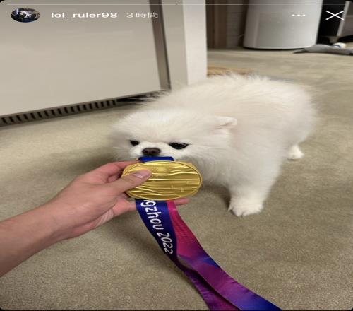 Ruler在ins上分享他的金牌和小狗动态
