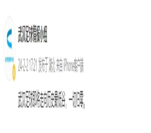 三镇面临资金困难，博主：武汉足球即将走向历史最低谷，一切归零