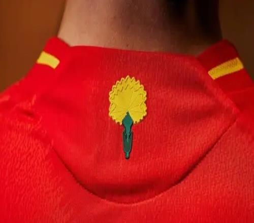 为爱前行！西班牙国家队新款球衣加入了国花康乃馨的图案设计