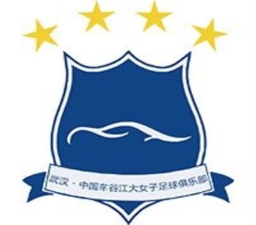 2024中国太平中国足球协会女子超级联赛各队Logo