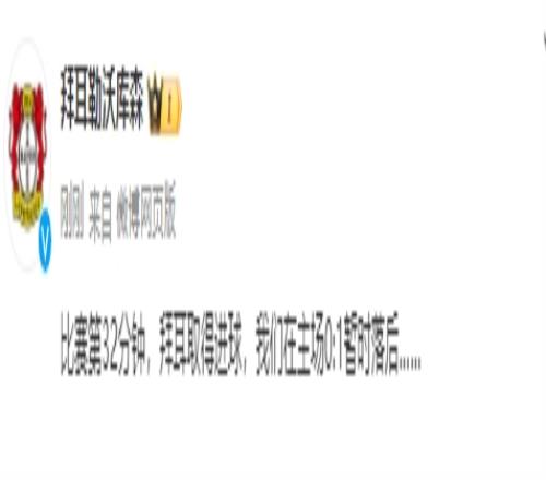 我进我自己拜耳勒沃库森:拜耳取得进球