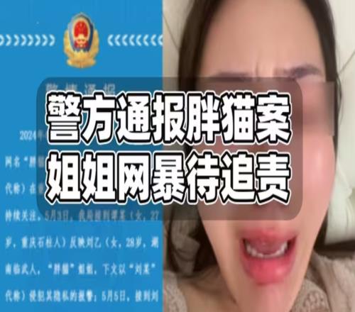 大快人心！胖猫事件大结局：其亲姐姐因网暴谭某微博、抖音账号均被封禁