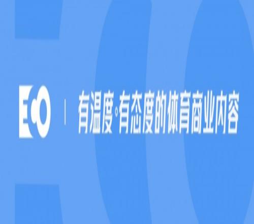 退役即巅峰！不当球员的她，成了世界500强总裁