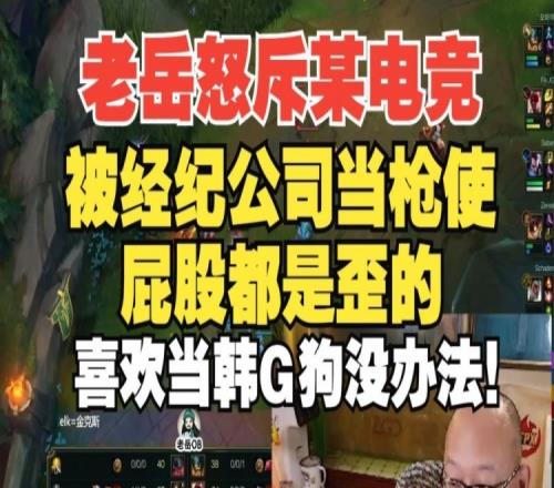 老岳怒斥真实电竞被人当枪使：屁股都是歪的，喜欢当韩国狗没办法