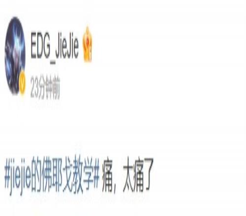 JieJie看自己的冠军皮肤上架有感:痛,太痛了!!