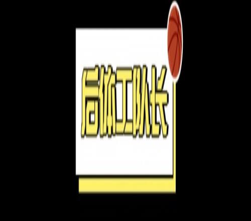 詹姆斯父子同台,难道还有2.0计划