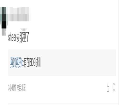 前RNG经理爆料:前JDG上单Sheer前往EDG试训
