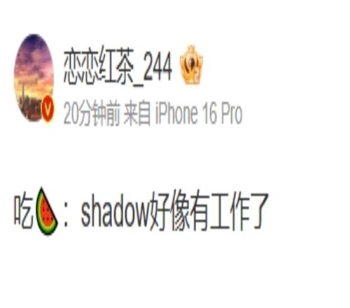 爆料人:shadow好像有工作了应该是中下游队伍