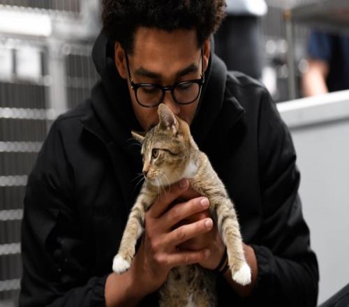 普尔：NBA里养猫的人很多我们有一个秘密的圈子常私下交流