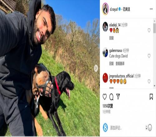 亲密互动!拉亚社媒晒与家中爱犬合照,面带微笑怀抱两只大狗