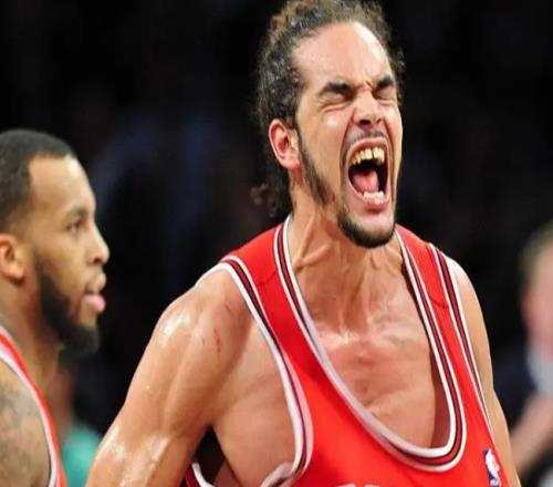 公牛队最佳球员，NBA公牛队历史上最好10 大球员（二）
